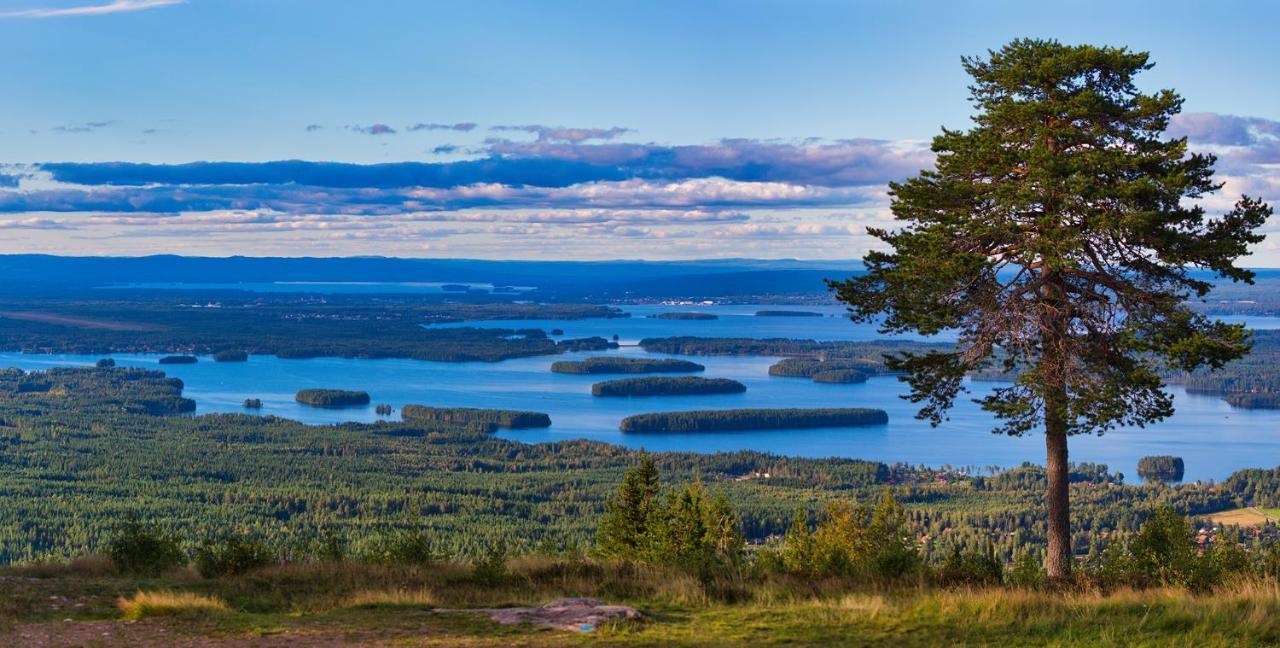 Traditionell Timmerstuga - Mora, Gesunda Solleron ภายนอก รูปภาพ